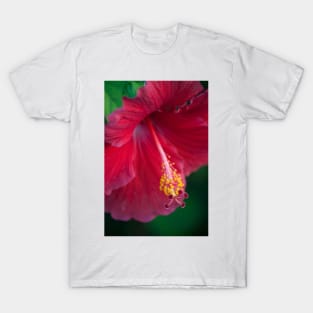 Hibiscus T-Shirt